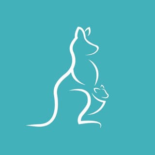 Road to Baby logo