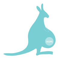 Hope Through Surrogacy logo