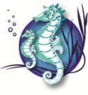 Coastal Surrogacy logo