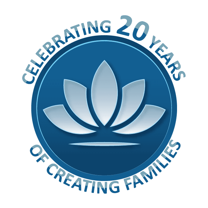 Conceptual Options logo