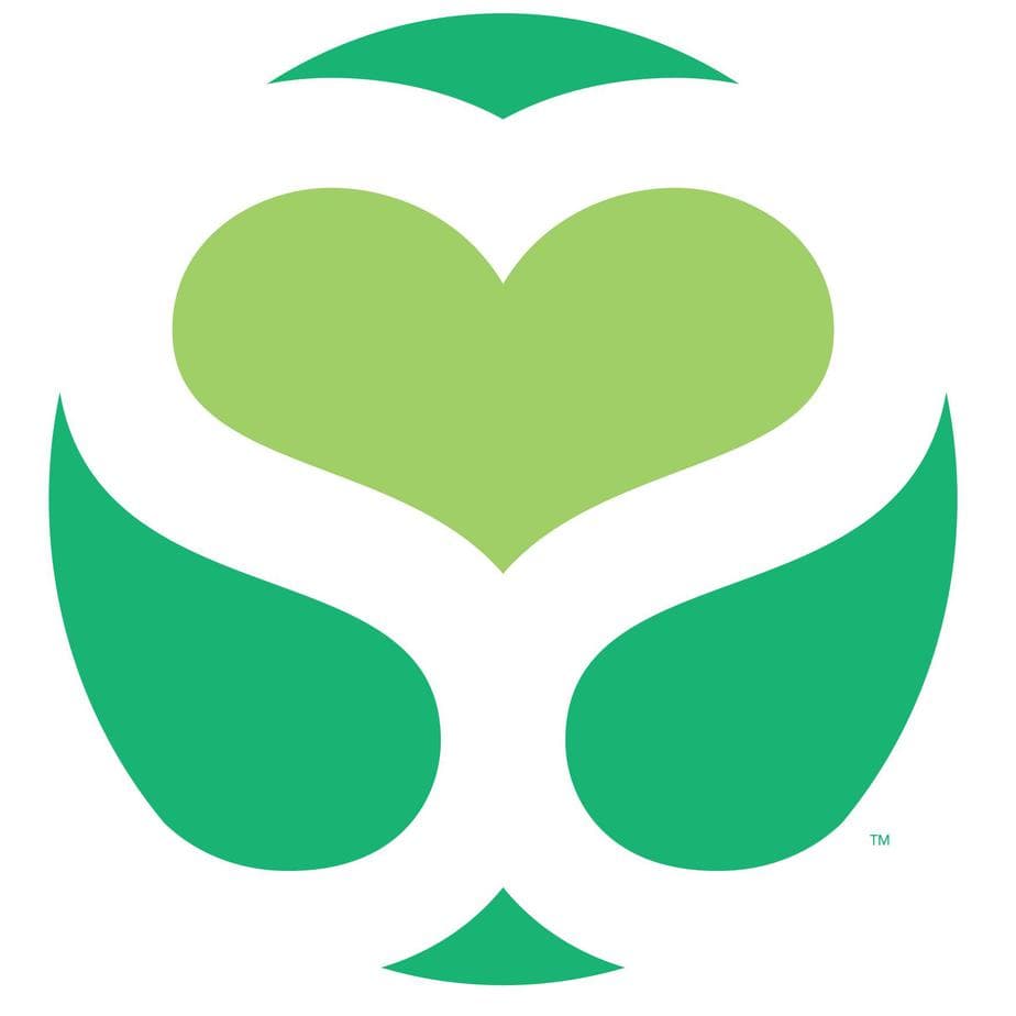 The Surrogacy Experience logo