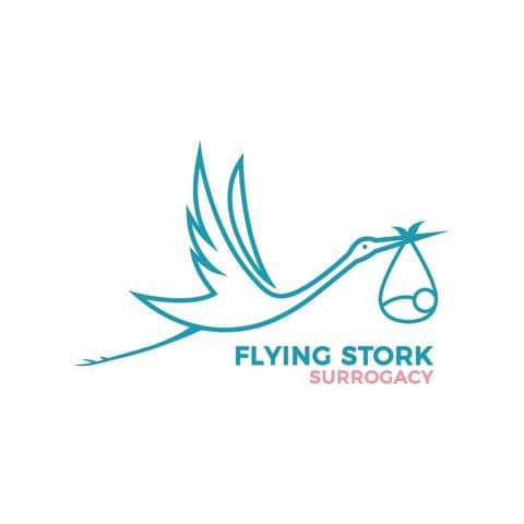 Flying Stork Surrogacy logo