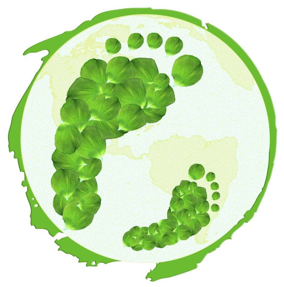 Tomorrow’s Parents International logo