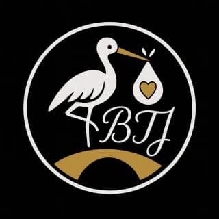 Bridge the Journey logo
