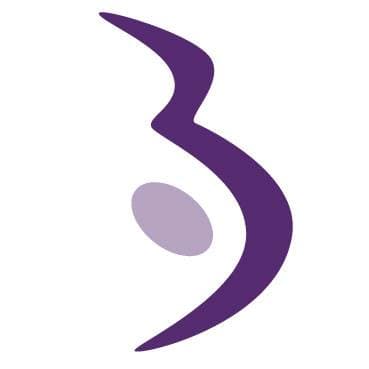 New Beginnings Surrogacy Services logo