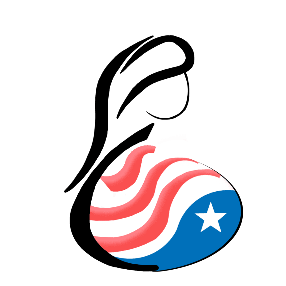 Patriot Conceptions logo